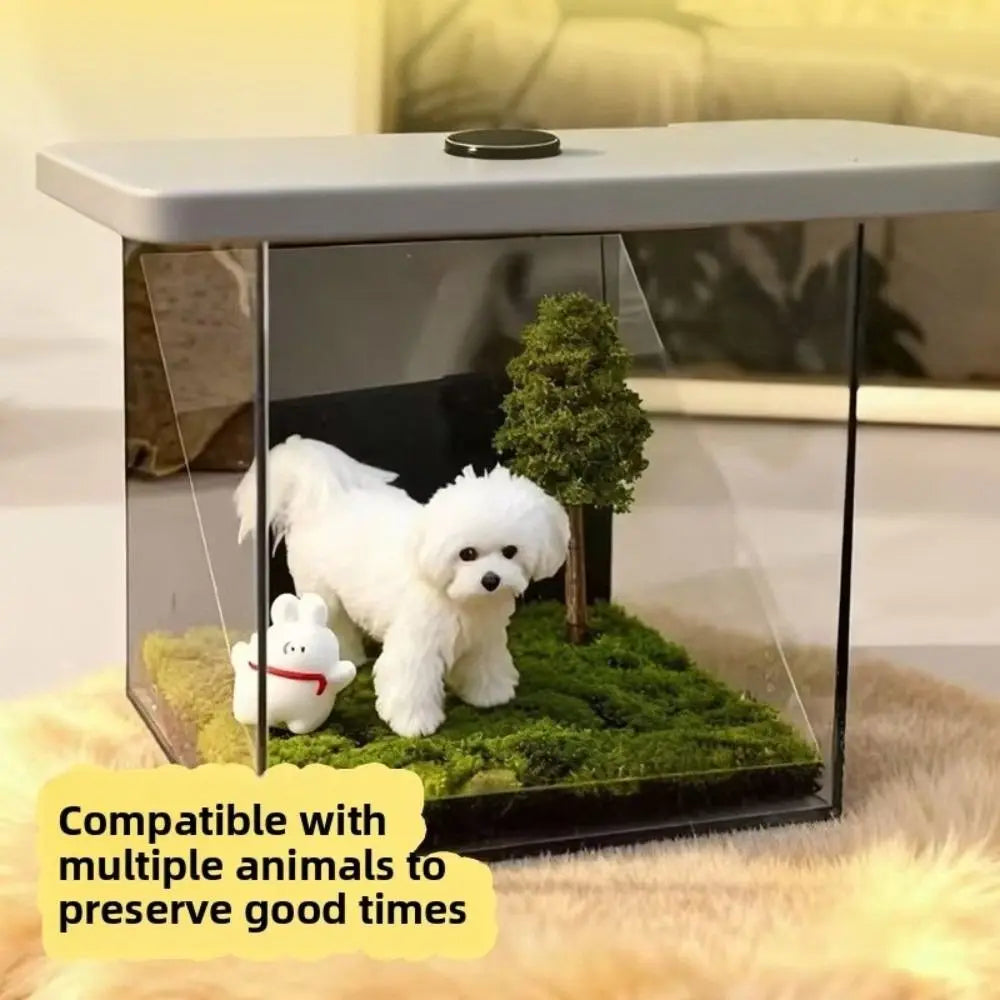 Acrylic Pet Holographic Projection Digital House Pet Souvenirs Pet Projection Souvenir Tool Pet Souvenir Projection 3D